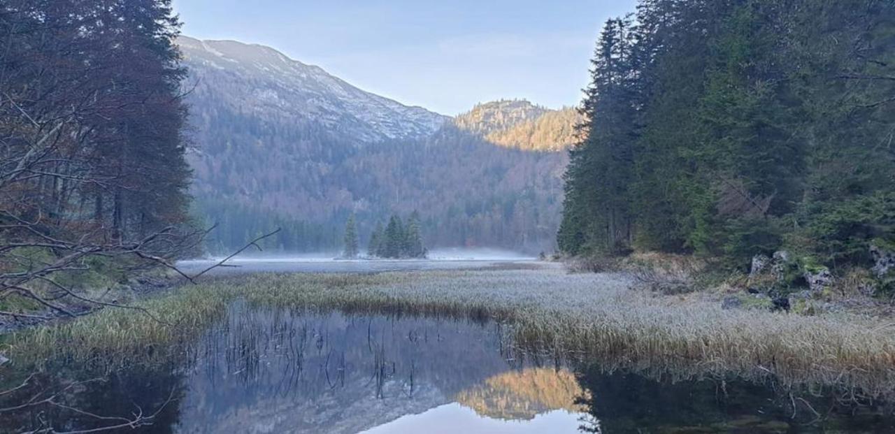 Ledererhof Lunz Am See Luaran gambar