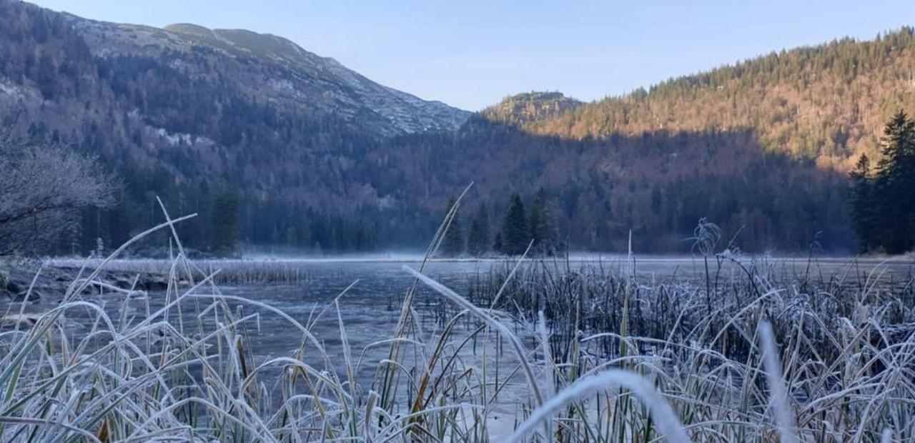 Ledererhof Lunz Am See Luaran gambar